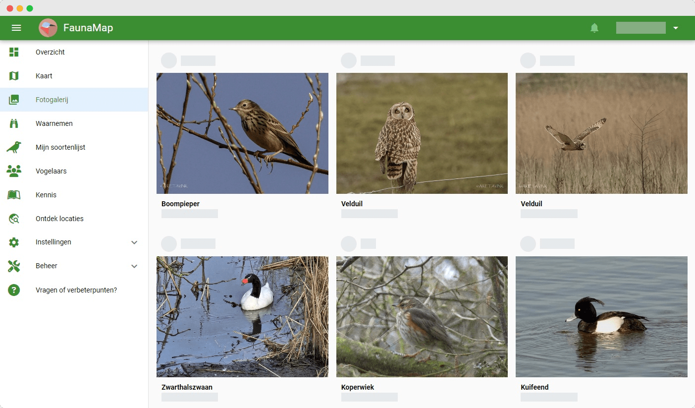 Foto's vogelwaarnemingen
